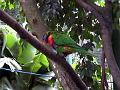 21a - Jardin Tropical 010